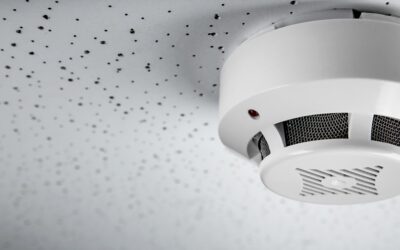 Najlepsze detektory dymu – Ranking 2026
