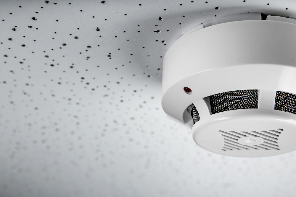 Najlepsze detektory dymu – Ranking Najlepsze detektory dymu - Ranking